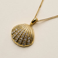 Stainless Steel Gold Coin Seashell Pendant Necklace