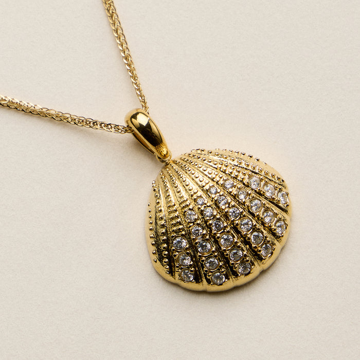 Stainless Steel Gold Coin Seashell Pendant Necklace