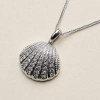Stainless Steel Gold Coin Seashell Pendant Necklace