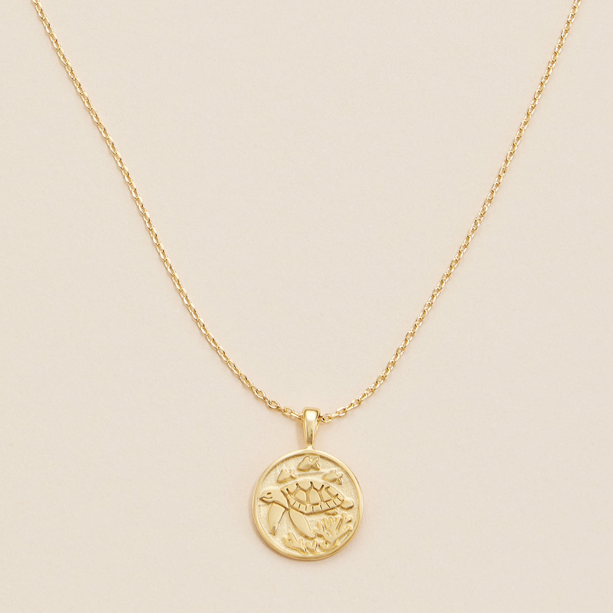 Turtle Coin Charm Gold Dip Necklace