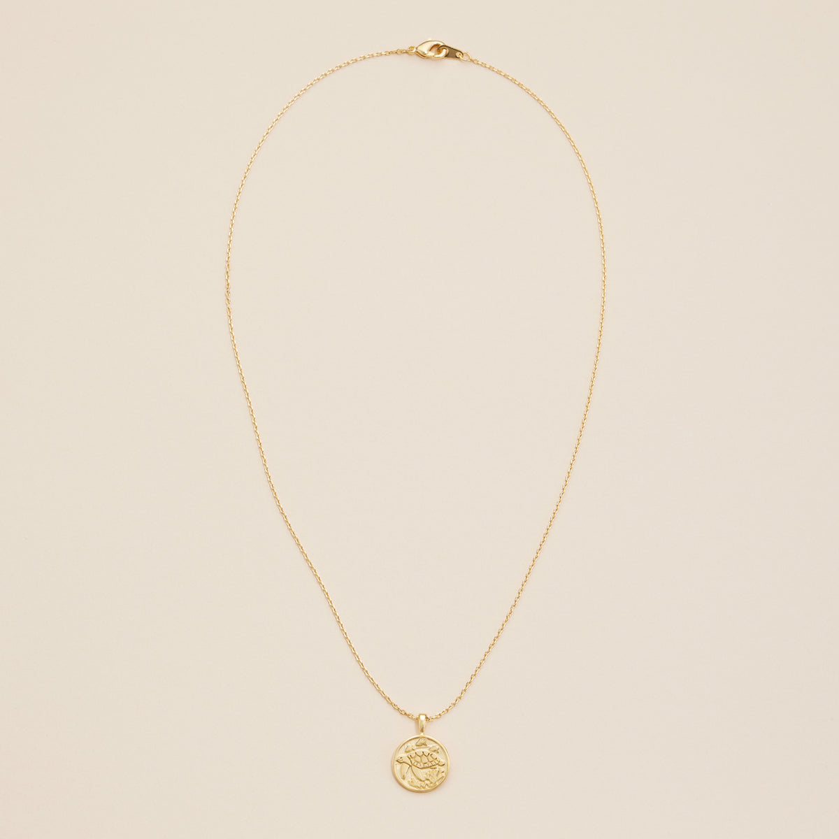 Turtle Coin Charm Gold Dip Necklace