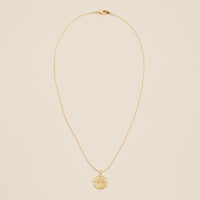 Turtle Coin Charm Gold Dip Necklace