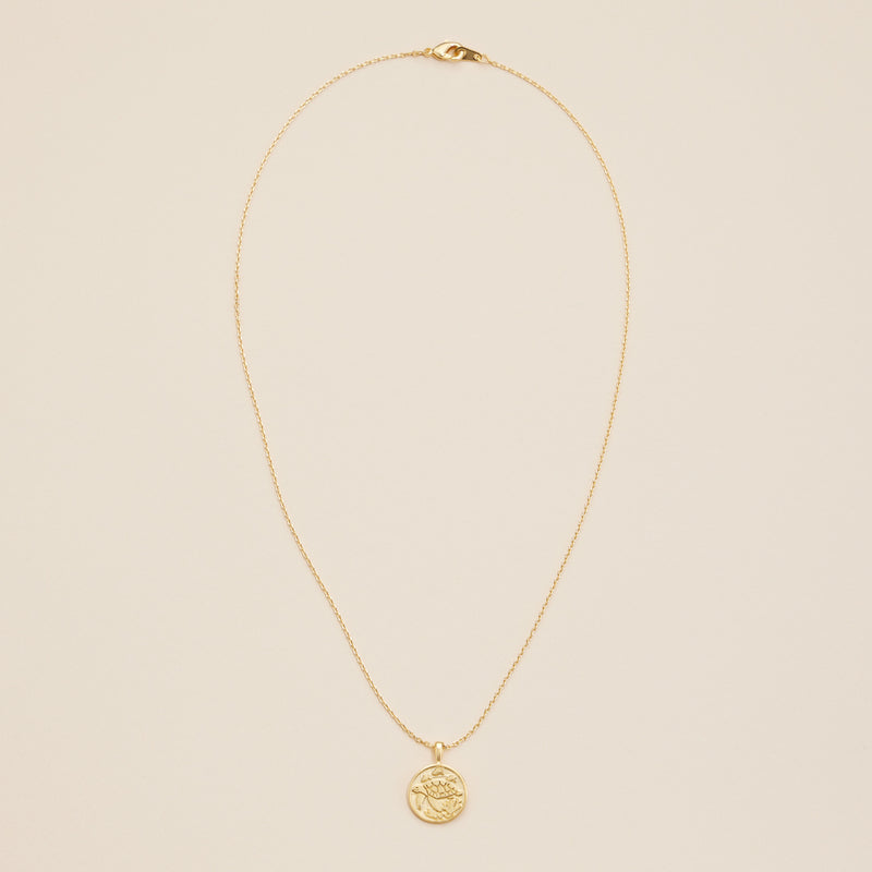 Turtle Coin Charm Gold Dip Necklace
