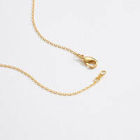 Gold Dipped Rose with Natural Stone Pendant Necklace