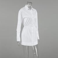 Polo Collar Shirt Dress