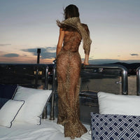 Leopard Print See-Through Long Dress