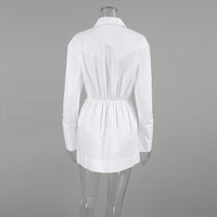 Polo Collar Shirt Dress