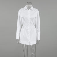 Polo Collar Shirt Dress