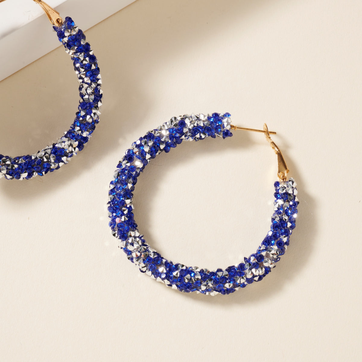 Crystals Decorated Hoop Earrings