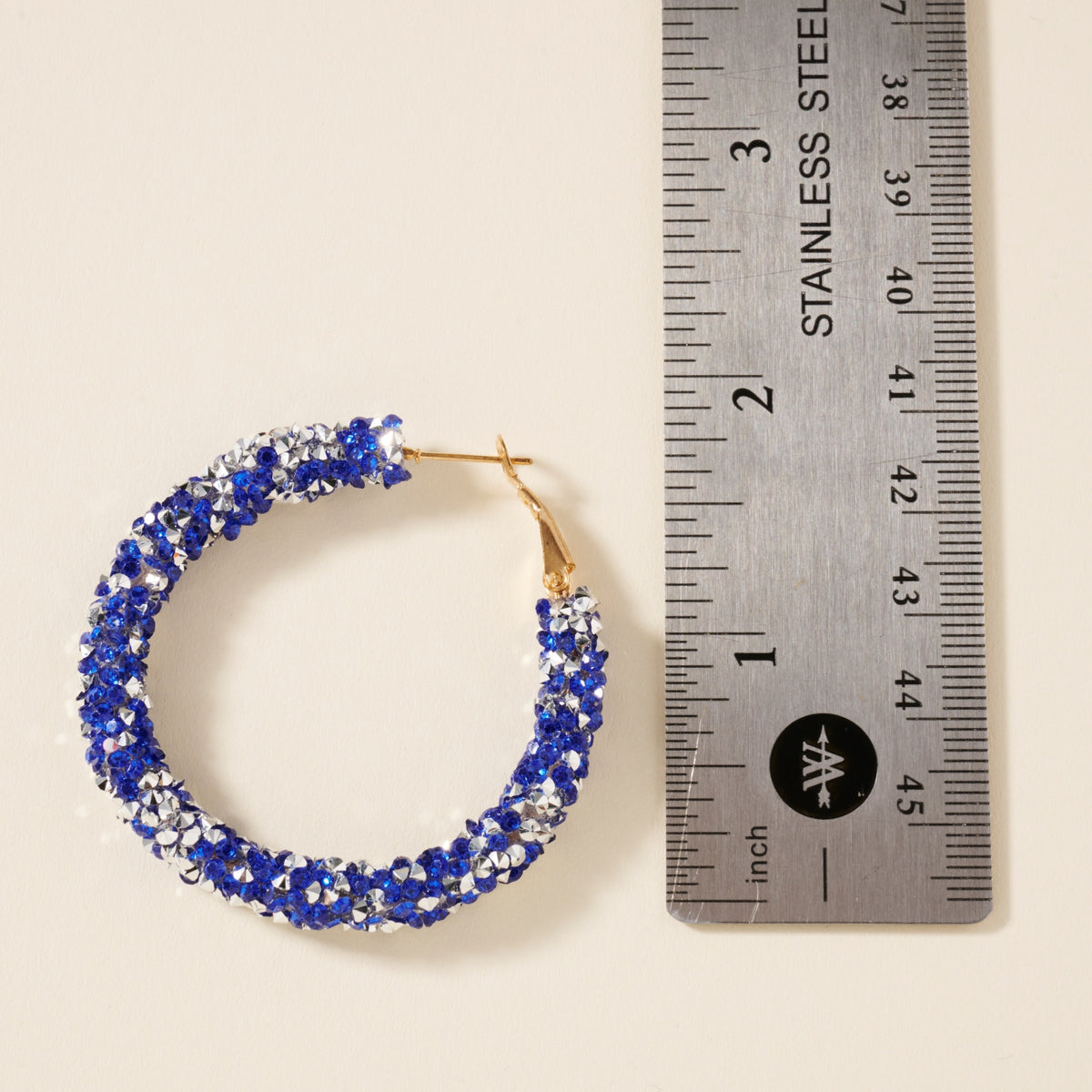 Crystals Decorated Hoop Earrings